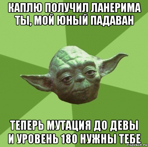 каплю получил ланерима ты, мой юный падаван теперь мутация до девы и уровень 180 нужны тебе, Мем Мастер Йода