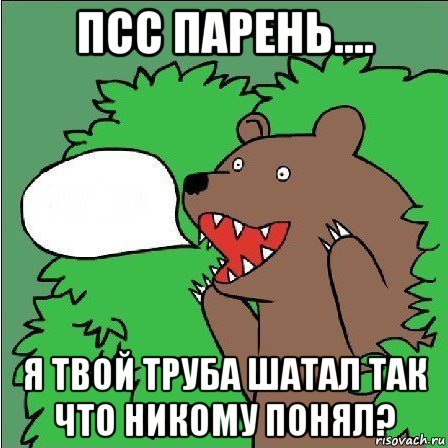 псс парень.... я твой труба шатал так что никому понял?, Мем Медведь-шлюха