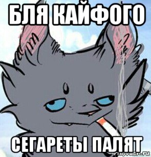 бля кайфого сегареты палят, Мем мем со своей картинкой