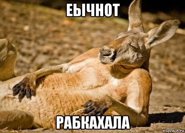 еычнот рабкахала, Мем МНЕ ПОХУЙ