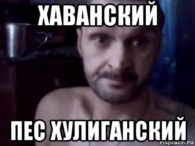 хаванский пес хулиганский