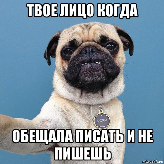 твое лицо когда обещала писать и не пишешь