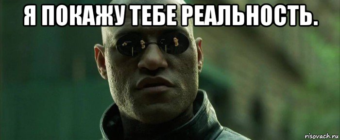 я покажу тебе реальность. 