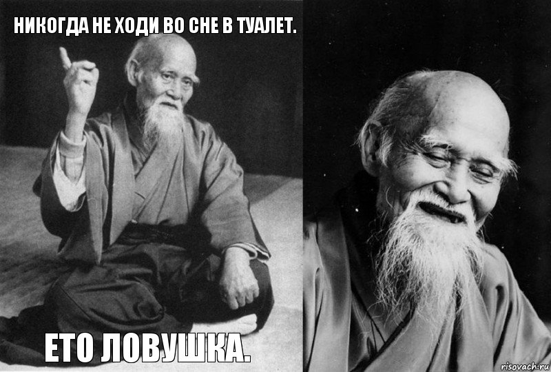 Никогда не ходи во сне в туалет. Ето ловушка.  , Комикс Мудрец-монах (4 зоны)