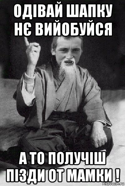 одівай шапку нє вийобуйся а то получіш пізди от мамки !, Мем Мудрий паца