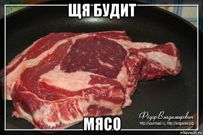 щя будит мясо, Мем Мясо