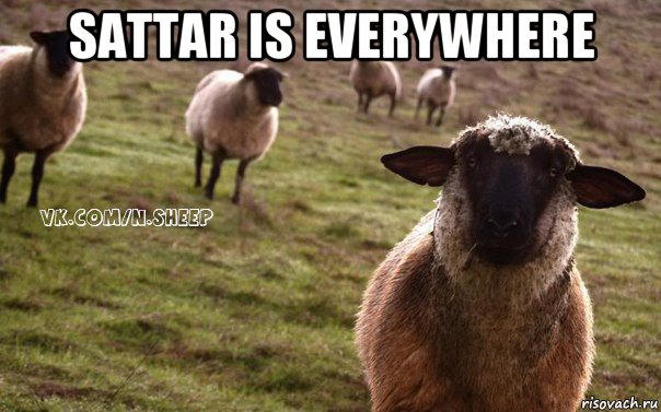 sattar is everywhere , Мем  Наивная Овца