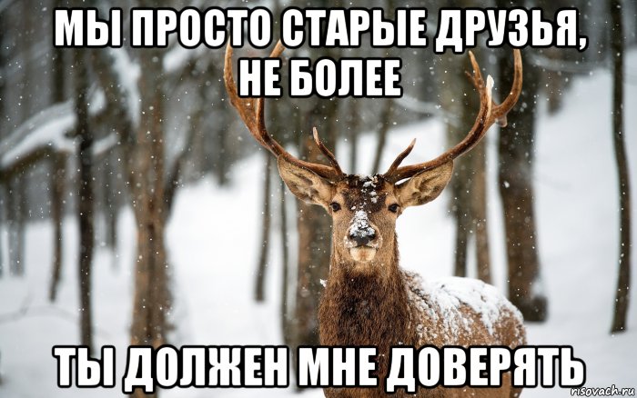 мы просто старые друзья, не более ты должен мне доверять