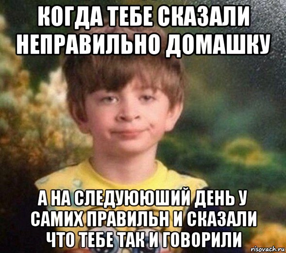 когда тебе сказали неправильно домашку а на следуююший день у самих правильн и сказали что тебе так и говорили, Мем Недовольный пацан