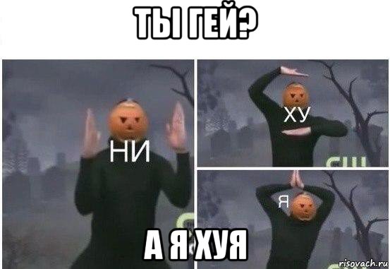 ты гей? а я хуя, Мем  Ни ху Я