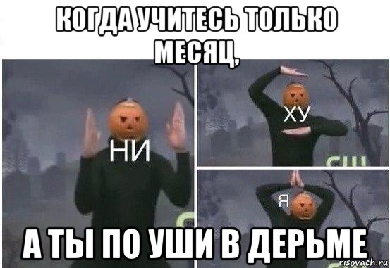 когда учитесь только месяц, а ты по уши в дерьме, Мем  Ни ху Я