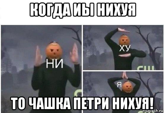 когда иы нихуя то чашка петри нихуя!, Мем  Ни ху Я