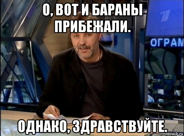 о, вот и бараны прибежали. однако, здравствуйте., Мем Однако Здравствуйте