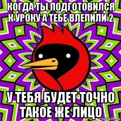 когда ты подготовился к уроку а тебе влепили 2 у тебя будет точно такое же лицо, Мем Омская птица