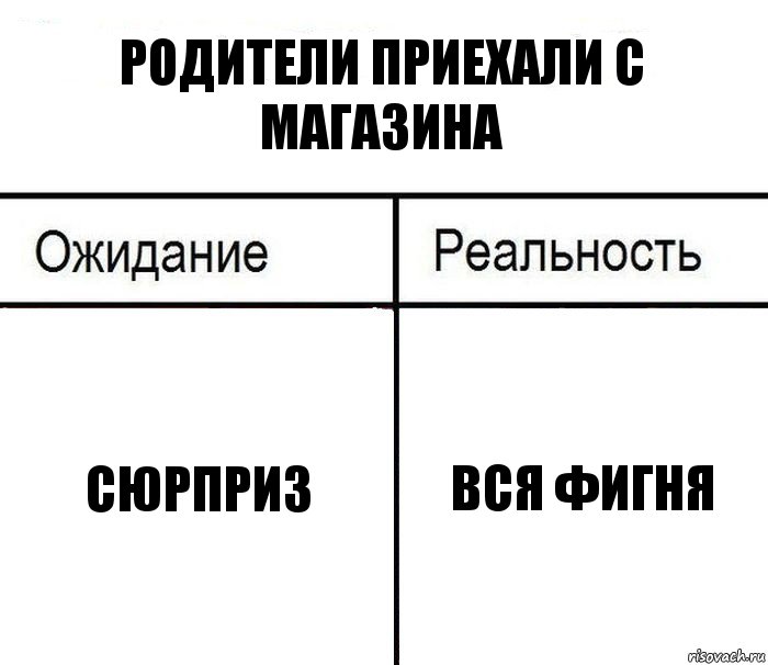 Родители приехали с магазина Сюрприз Вся фигня, Комикс  Ожидание - реальность