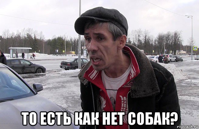  то есть как нет собак?
