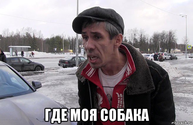  где моя собака