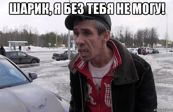 шарик, я без тебя не могу! 