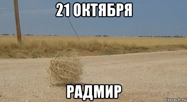 21 октября радмир, Мем перекати-поле одиночество