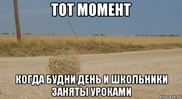 тот момент когда будни день и школьники заняты уроками, Мем перекати-поле одиночество