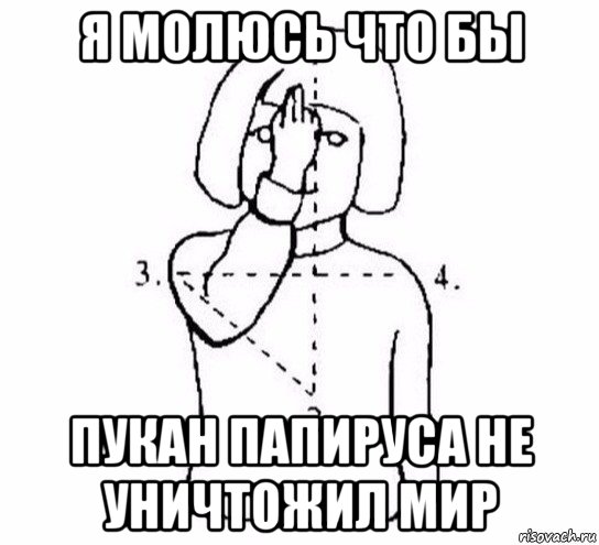 я молюсь что бы пукан папируса не уничтожил мир, Мем  Перекреститься