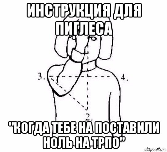 инструкция для пиглеса "когда тебе на поставили ноль на трпо", Мем  Перекреститься