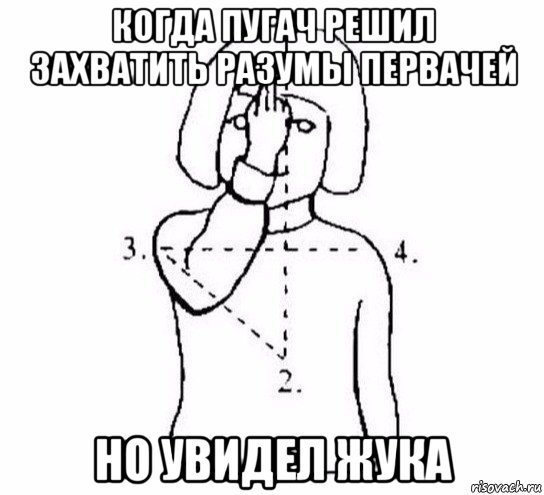 когда пугач решил захватить разумы первачей но увидел жука, Мем  Перекреститься