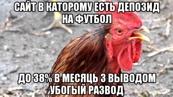сайт в каторому есть депозид на футбол до 38% в месяць з выводом убогый развод