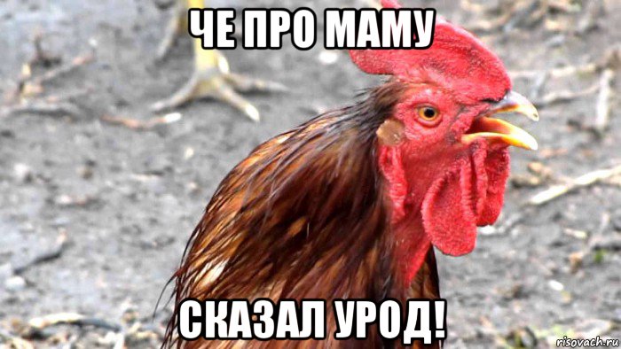 че про маму сказал урод!