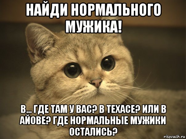 найди нормального мужика! в... где там у вас? в техасе? или в айове? где нормальные мужики остались?, Мем Пидрила ебаная котик