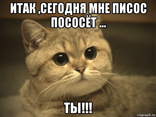 итак ,сегодня мне писос пососёт ... ты!!!, Мем Пидрила ебаная котик