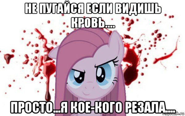 не пугайся если видишь кровь.... просто...я кое-кого резала....