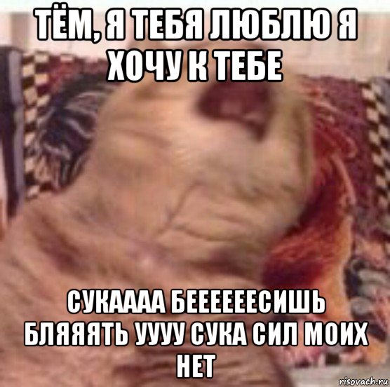 тём, я тебя люблю я хочу к тебе сукаааа беееееесишь бляяять уууу сука сил моих нет, Мем Pisos