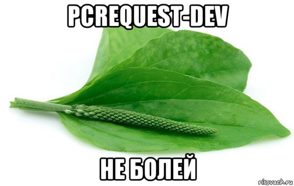 pcrequest-dev не болей