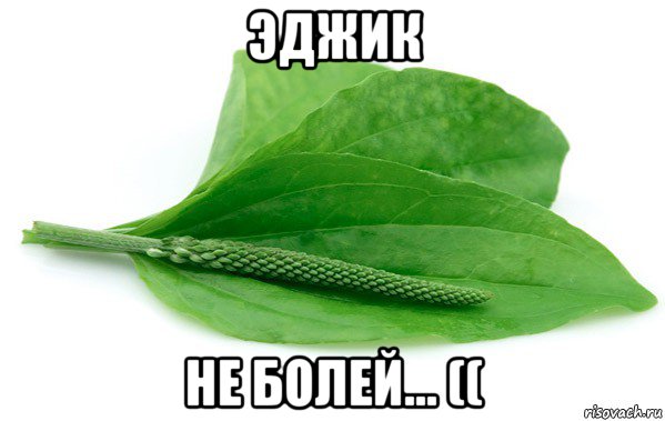 эджик не болей... ((