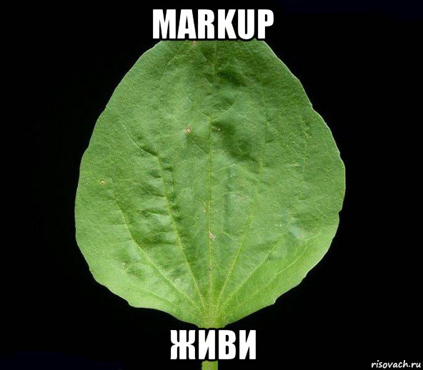 markup живи