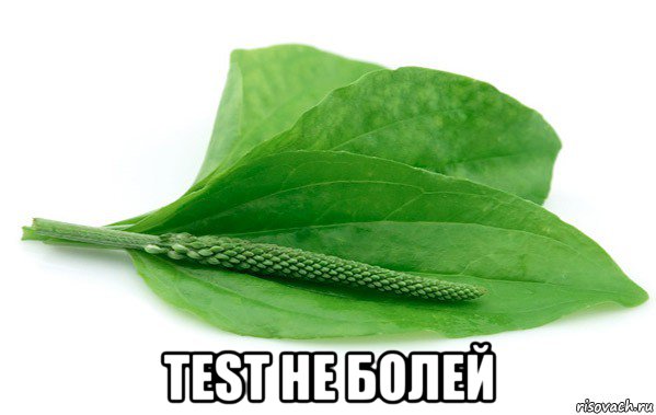 test не болей