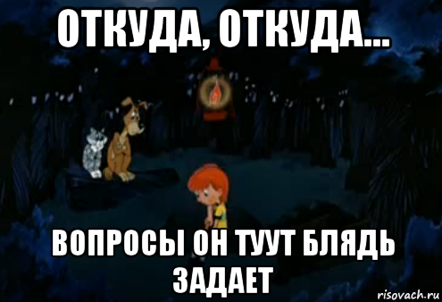 откуда, откуда... вопросы он туут блядь задает, Мем Простоквашино закапывает