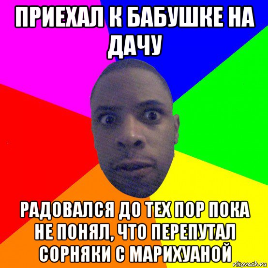 приехал к бабушке на дачу радовался до тех пор пока не понял, что перепутал сорняки с марихуаной