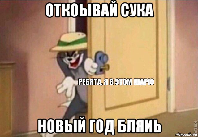 откоывай сука новый год бляиь, Мем    Ребята я в этом шарю