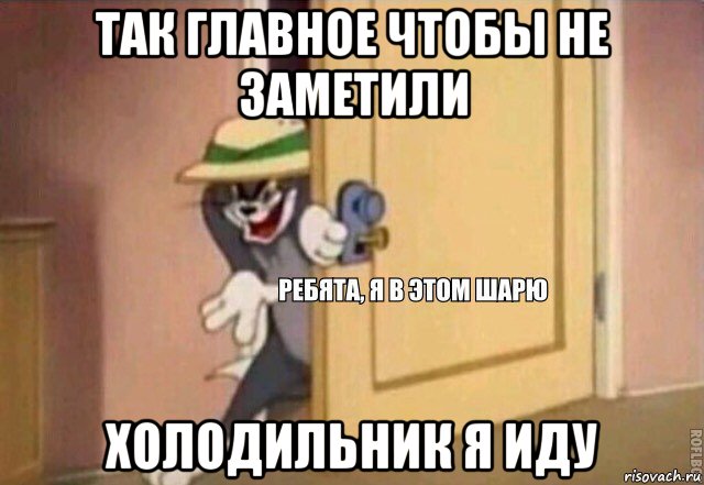 так главное чтобы не заметили холодильник я иду, Мем    Ребята я в этом шарю