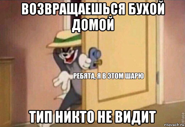 возвращаешься бухой домой тип никто не видит, Мем    Ребята я в этом шарю