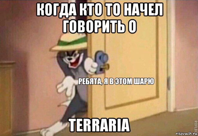 когда кто то начел говорить о terraria, Мем    Ребята я в этом шарю