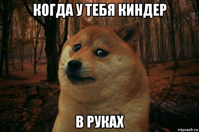 когда у тебя киндер в руках, Мем SAD DOGE