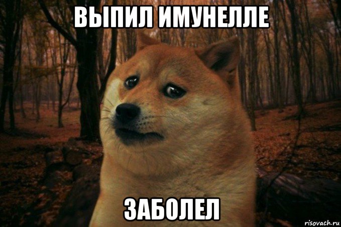 выпил имунелле заболел, Мем SAD DOGE