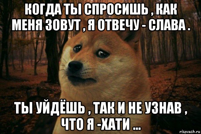 когда ты спросишь , как меня зовут , я отвечу - слава . ты уйдёшь , так и не узнав , что я -хати ..., Мем SAD DOGE