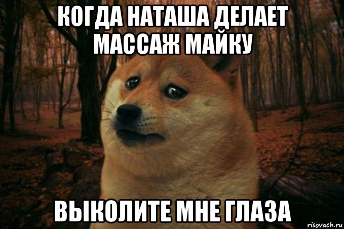 когда наташа делает массаж майку выколите мне глаза, Мем SAD DOGE