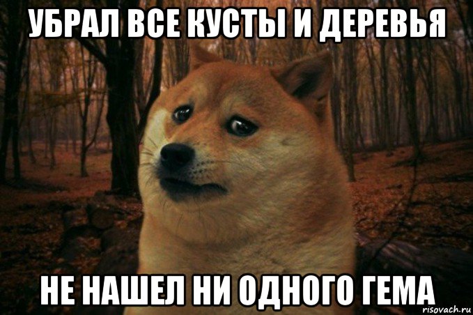 убрал все кусты и деревья не нашел ни одного гема, Мем SAD DOGE