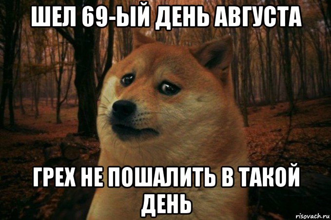 шел 69-ый день августа грех не пошалить в такой день, Мем SAD DOGE