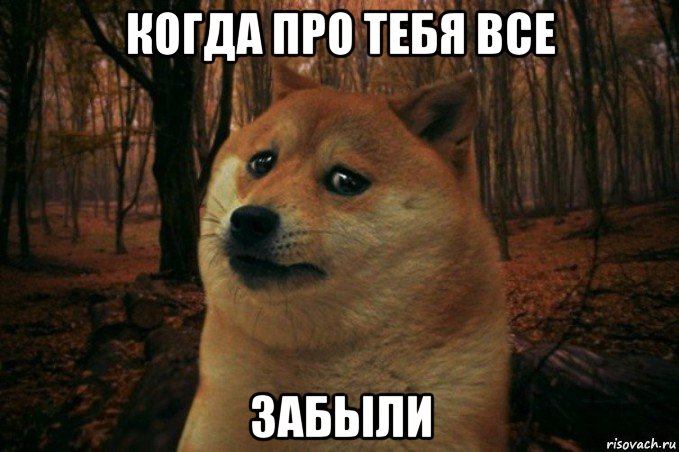 когда про тебя все забыли, Мем SAD DOGE